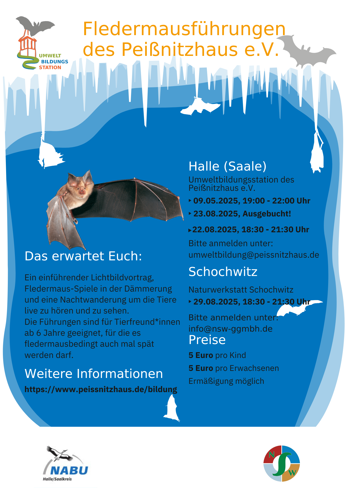 Plakat Fledermausnächte024 4.pdf